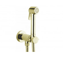 Гигиенический душ, Bossini, Paloma Brass, шланг-есть, длина шланга, мм-1250, держатель-в комплекте, материал-латунь, цвет-золото, с прогрессивным смеситетелем